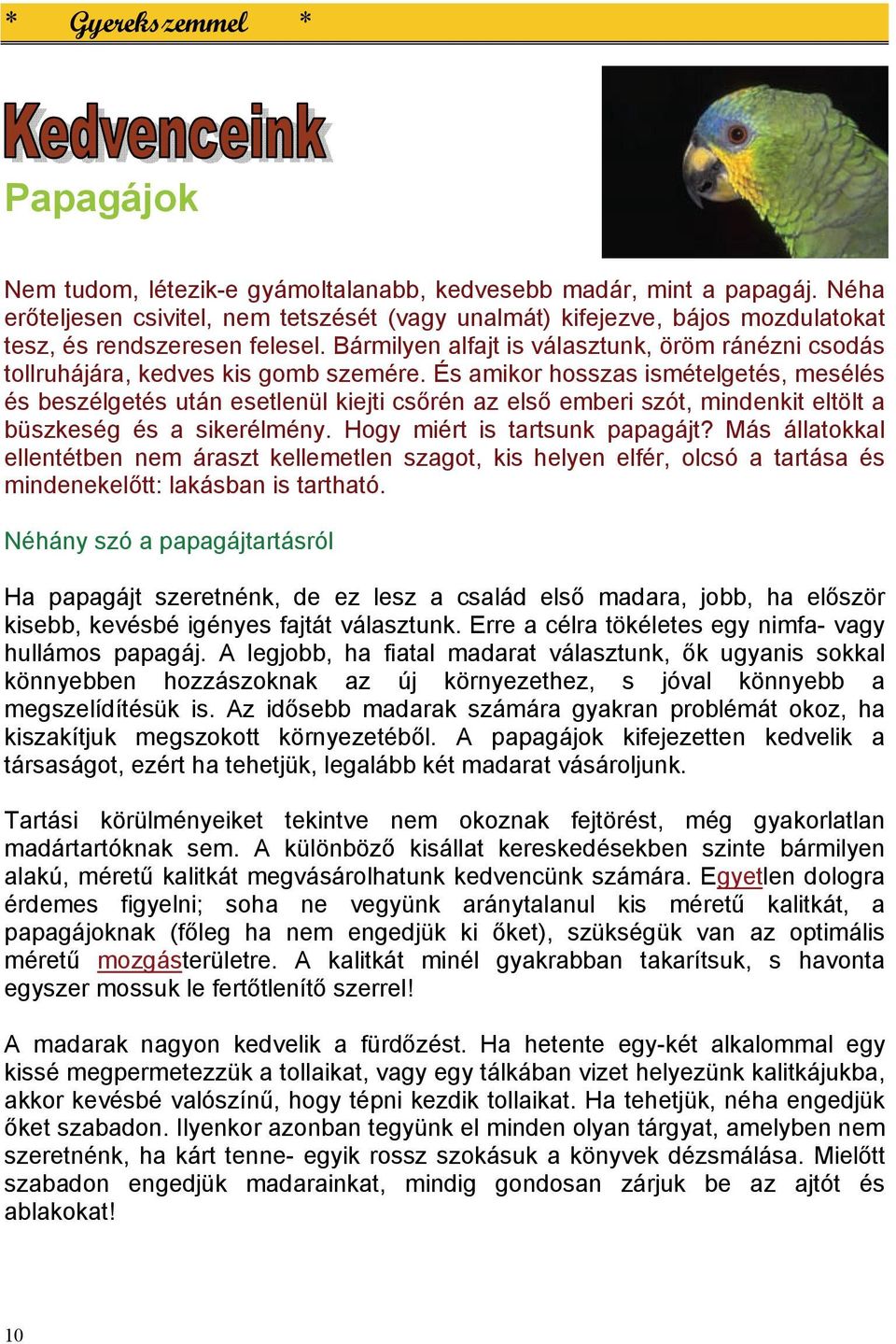 És amikor hosszas ismételgetés, mesélés és beszélgetés után esetlenül kiejti csőrén az első emberi szót, mindenkit eltölt a büszkeség és a sikerélmény. Hogy miért is tartsunk papagájt?