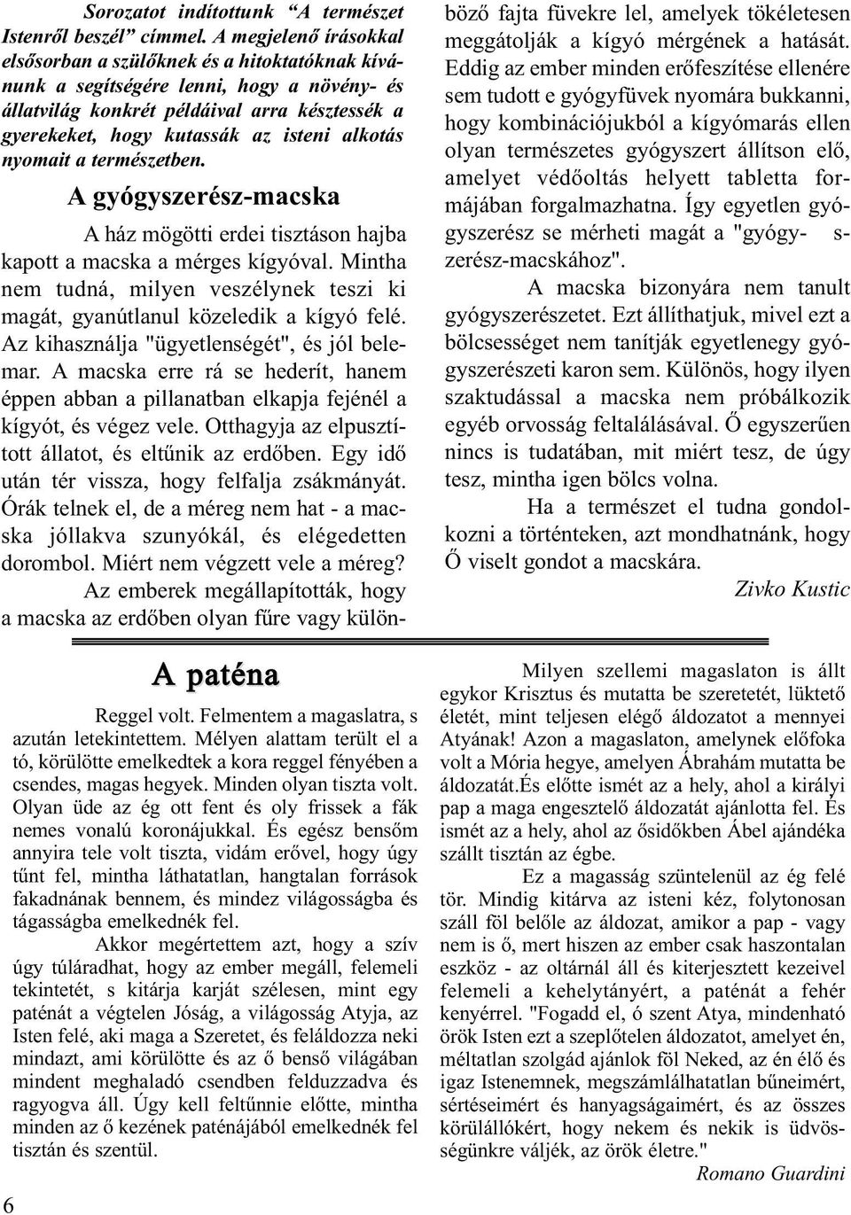 alkotás nyomait a természetben. Reggel volt. Felmentem a magaslatra, s azután letekintettem. Mélyen alattam terült el a tó, körülötte emelkedtek a kora reggel fényében a csendes, magas hegyek.