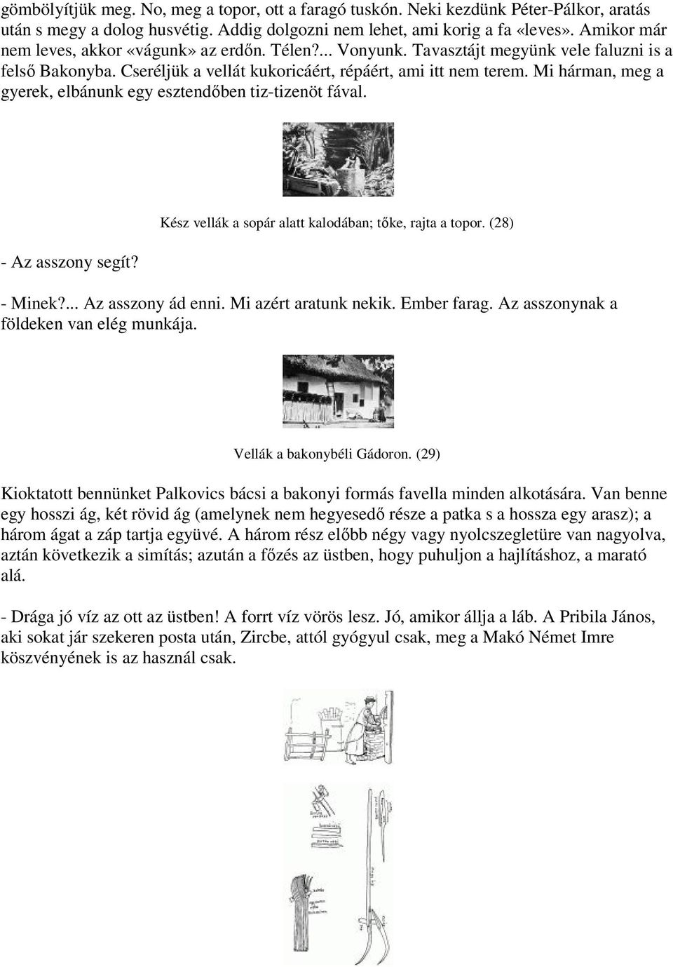 Mi hárman, meg a gyerek, elbánunk egy esztendőben tiz-tizenöt fával. - Az asszony segít? Kész vellák a sopár alatt kalodában; tőke, rajta a topor. (28) - Minek?... Az asszony ád enni.