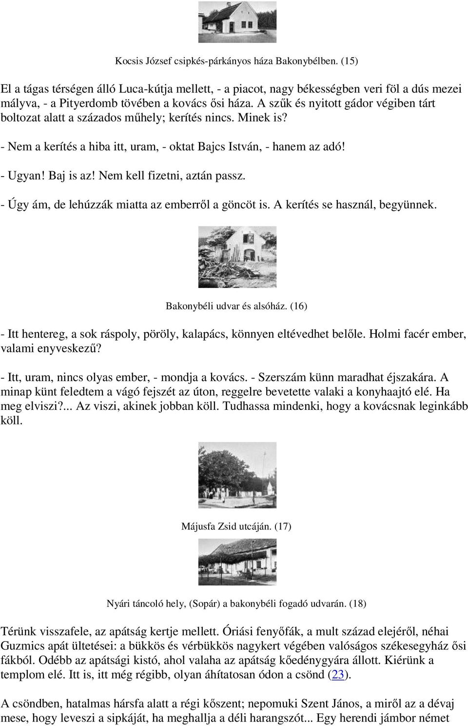 Nem kell fizetni, aztán passz. - Úgy ám, de lehúzzák miatta az emberről a göncöt is. A kerítés se használ, begyünnek. Bakonybéli udvar és alsóház.