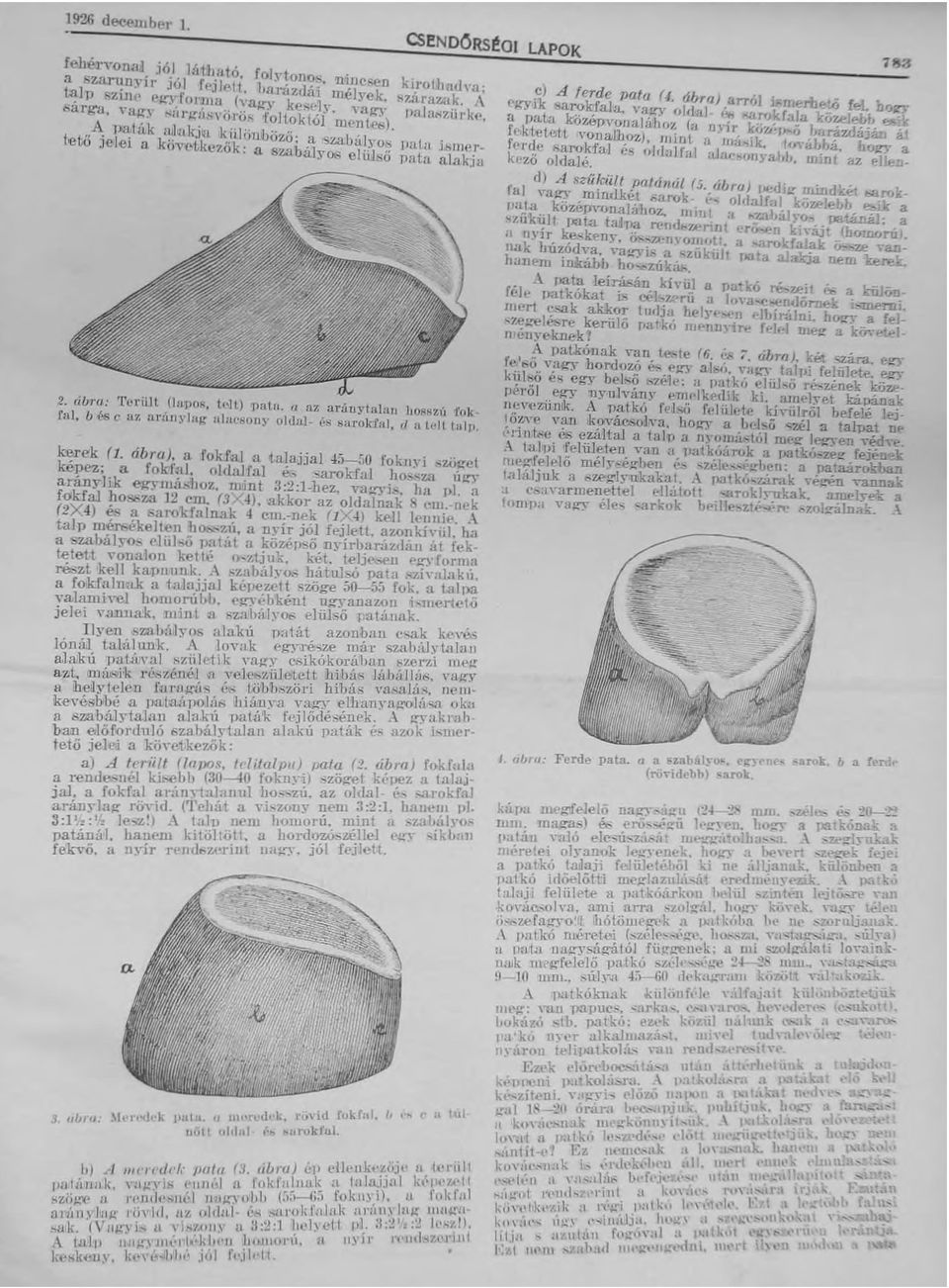 áúra: Tt.1l'üll ( lli'll0r, te-it) patu. fl az ariiuytnlnu h OAHZÚ i'clk ral, b -és c' az urlínylag alm'sony oldaj- 6s sal'okral, ri a ll.1t tu lp. ~ek (I, áb ra). a fokfal II 'ta!