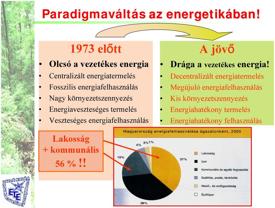 környezetszennyezés Energiaveszteséges termelés Veszteséges energiafelhasználás A jövő Drága a