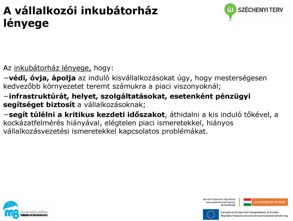 esetenként pénzügyi segítséget biztosít a vállalkozásoknak; segít túlélni a kritikus kezdeti időszakot, áthidalni a kis