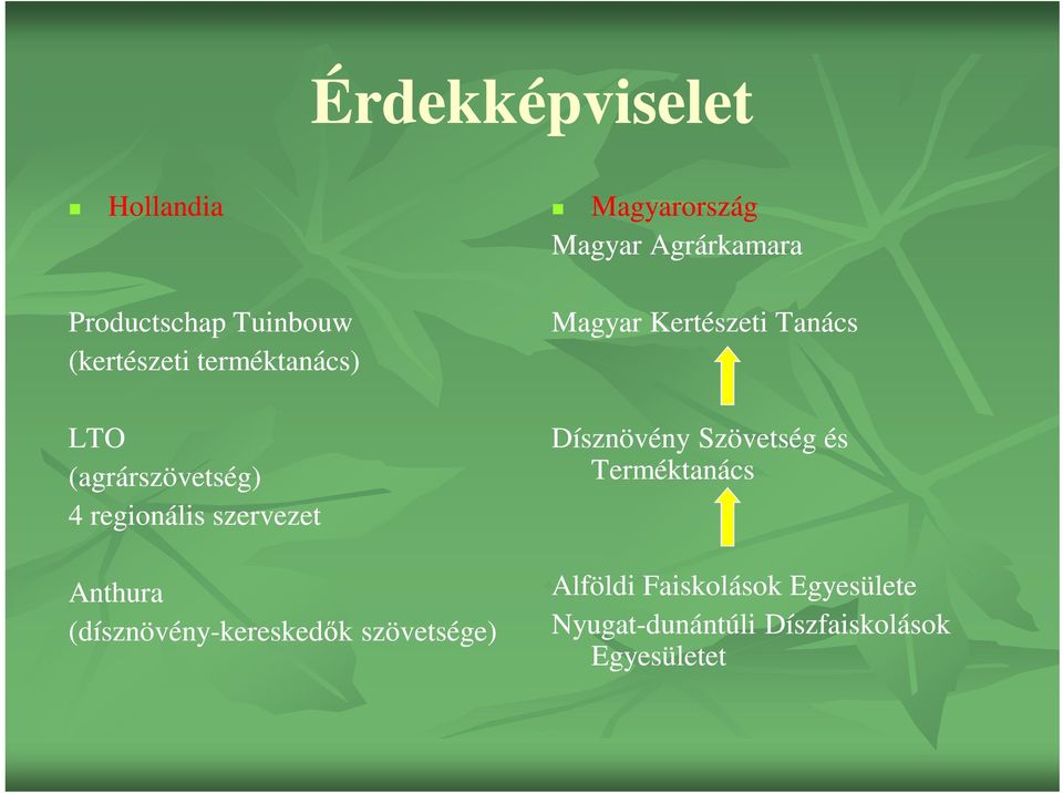 (dísznövény-kereskedők szövetsége) Magyar Kertészeti Tanács Dísznövény Szövetség