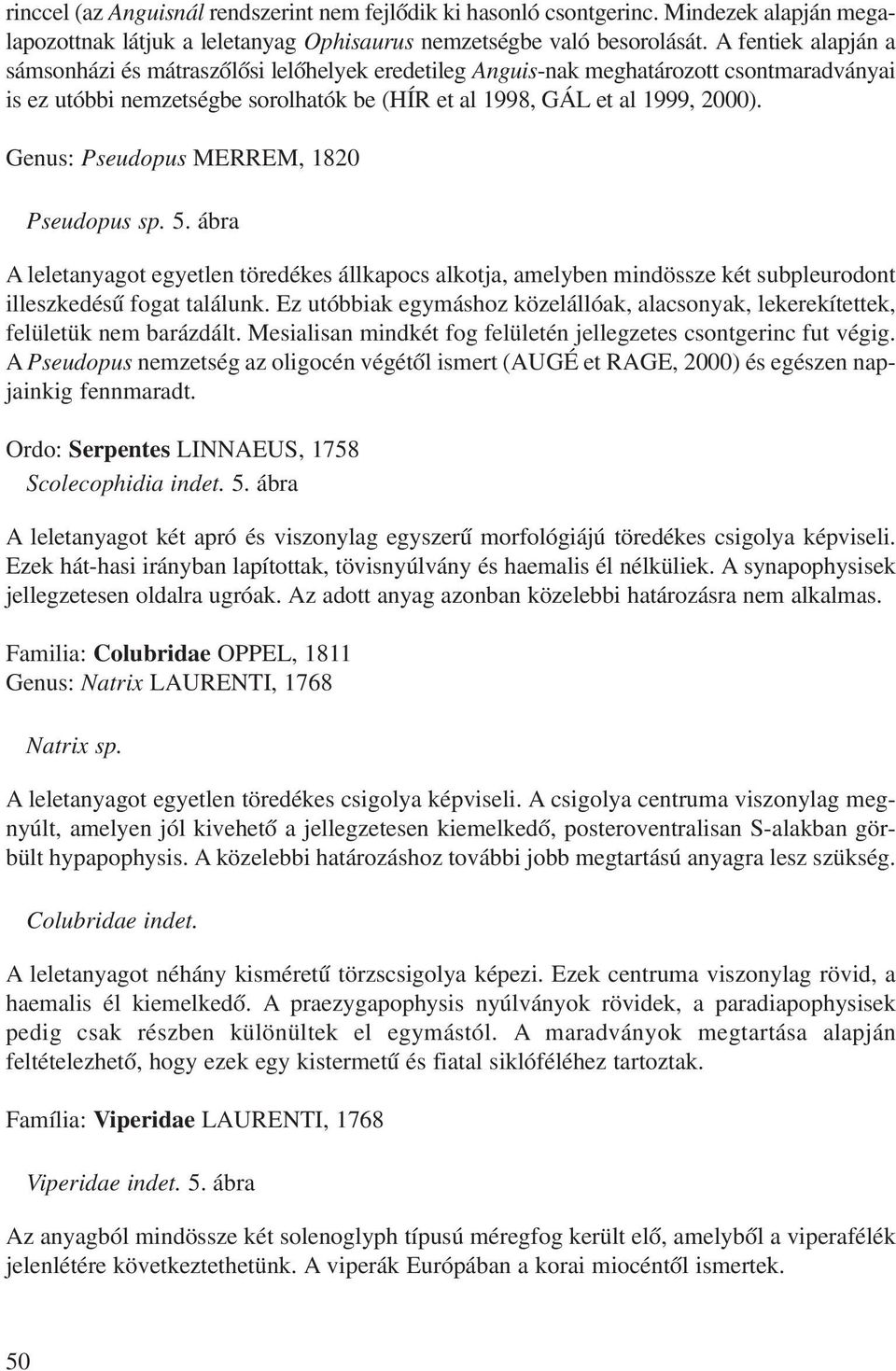 Genus: Pseudopus MERREM, 1820 Pseudopus sp. 5. ábra A leletanyagot egyetlen töredékes állkapocs alkotja, amelyben mindössze két subpleurodont illeszkedésû fogat találunk.