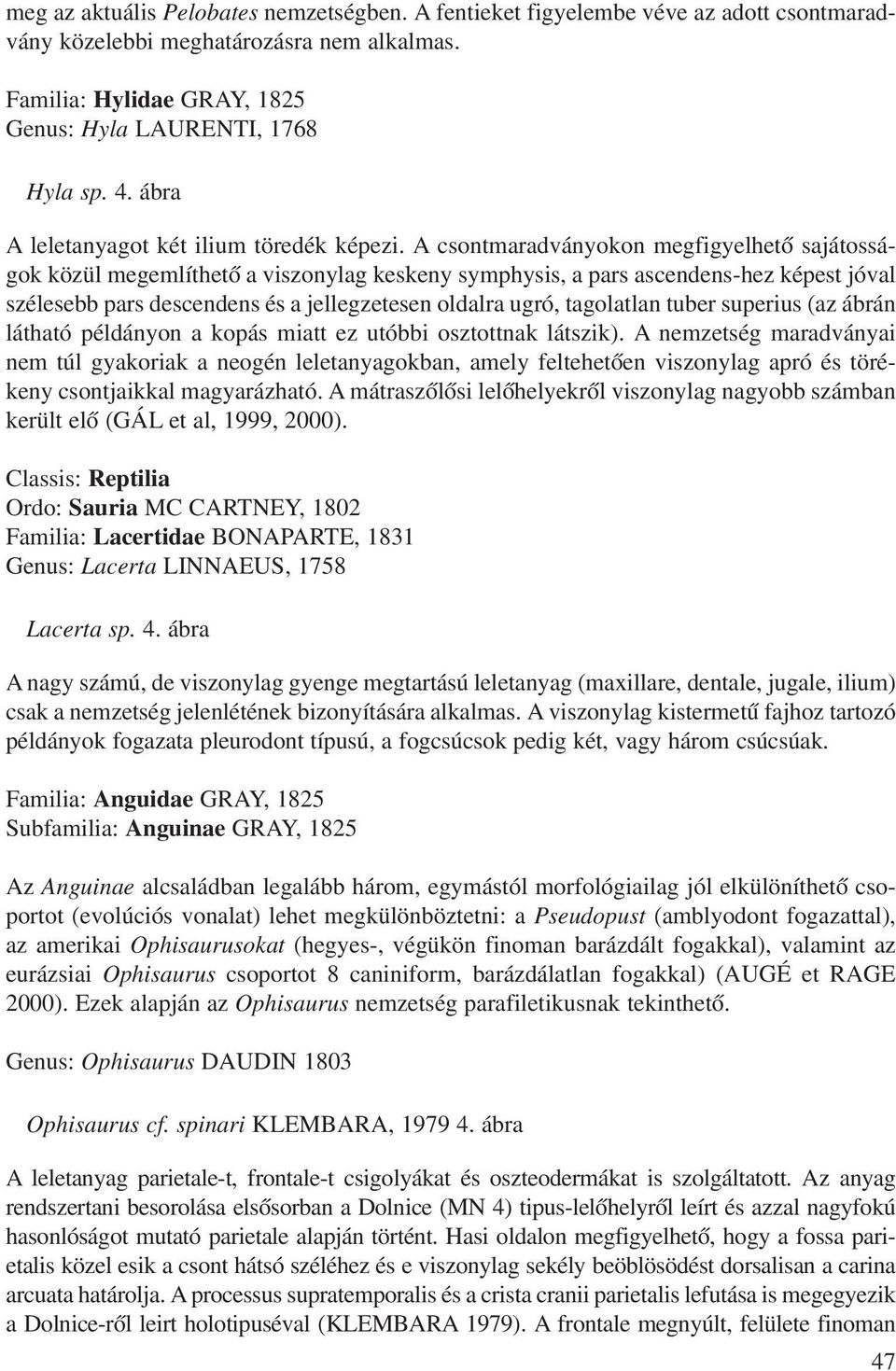 A csontmaradványokon megfigyelhetõ sajátosságok közül megemlíthetõ a viszonylag keskeny symphysis, a pars ascendens-hez képest jóval szélesebb pars descendens és a jellegzetesen oldalra ugró,