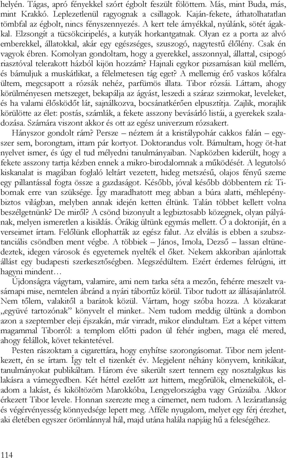 Olyan ez a porta az alvó emberekkel, állatokkal, akár egy egészséges, szuszogó, nagytestű élőlény. Csak én vagyok ébren.