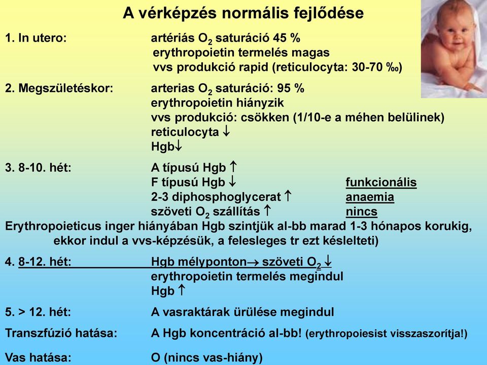 hét: A típusú Hgb F típusú Hgb funkcionális 2-3 diphosphoglycerat anaemia szöveti O 2 szállítás nincs Erythropoieticus inger hiányában Hgb szintjük al-bb marad 1-3 hónapos korukig, ekkor