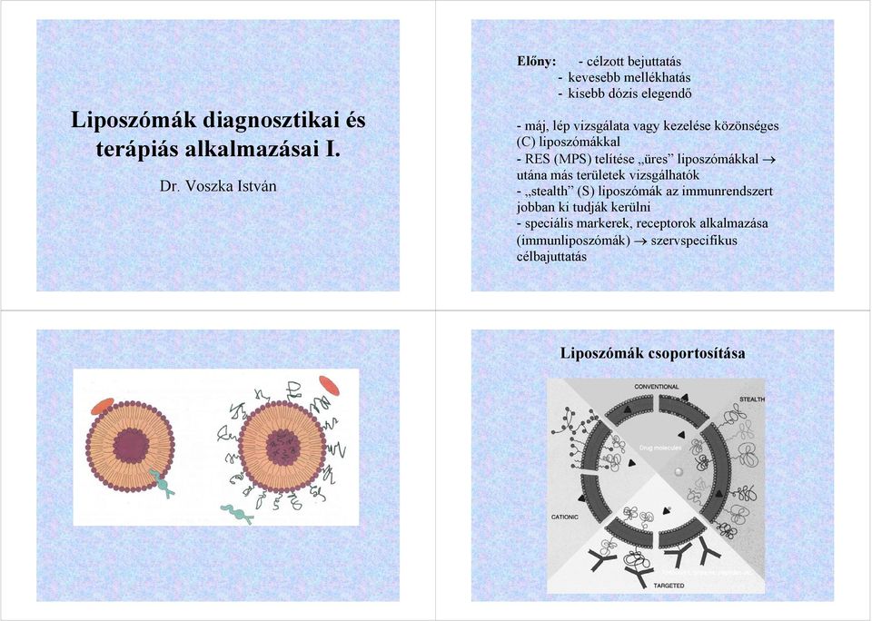 kezelése közönséges (C) liposzómákkal - RES (MPS) telítése üres liposzómákkal utána más területek vizsgálhatók -