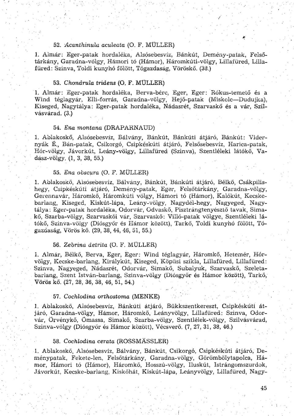 Vöröskő. (38.) 53. Chondrula tridens (O. F. MÜLLER) 1.
