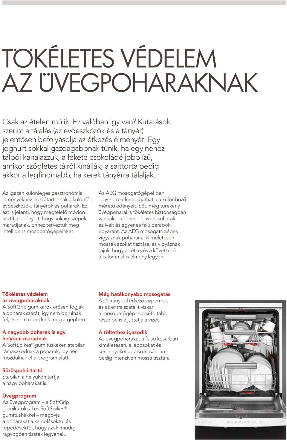 Az igazán különleges gasztronómiai élményekhez hozzátartoznak a különféle evőeszközök, tányérok és poharak. Ez azt is jelenti, hogy megfelelő módon tisztítja edényeit, hogy sokáig szépek maradjanak.