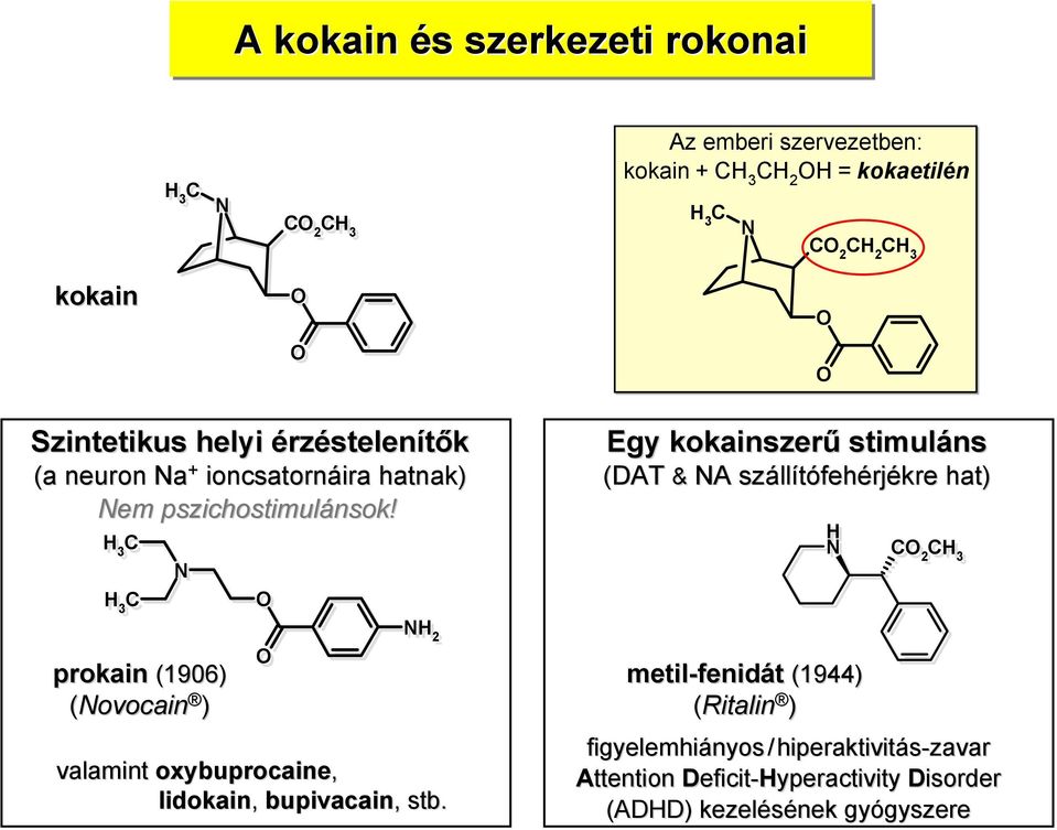 H 3 C N H 3 C H 3 prokain (1906) (Novocain ) NH 2 valamint oxybuprocaine, lidokain, bupivacain,, stb.