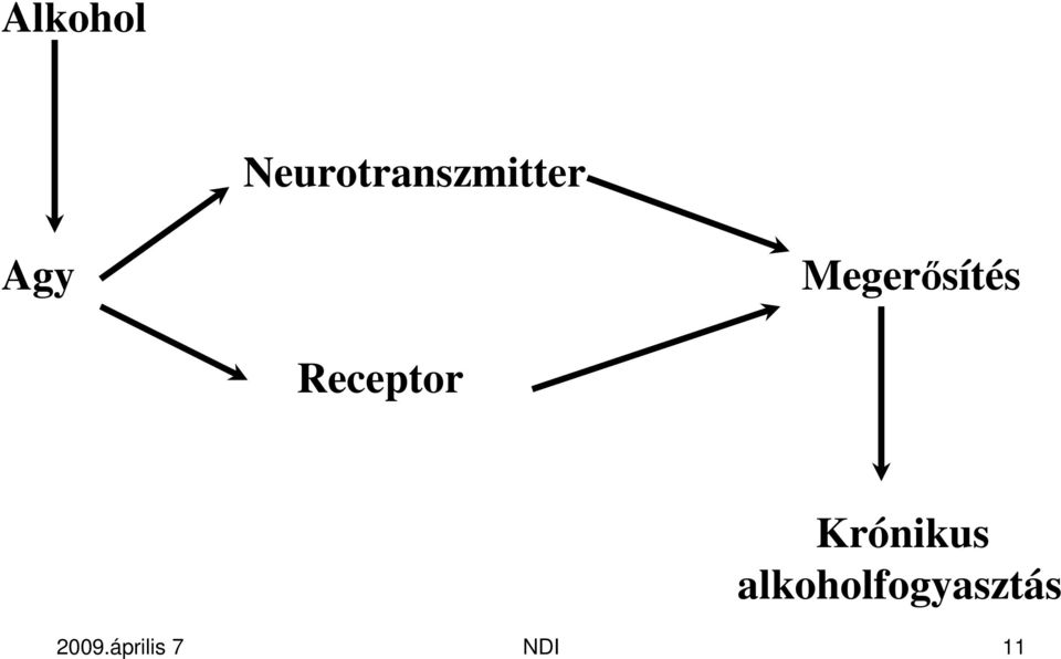 Megerısítés Receptor