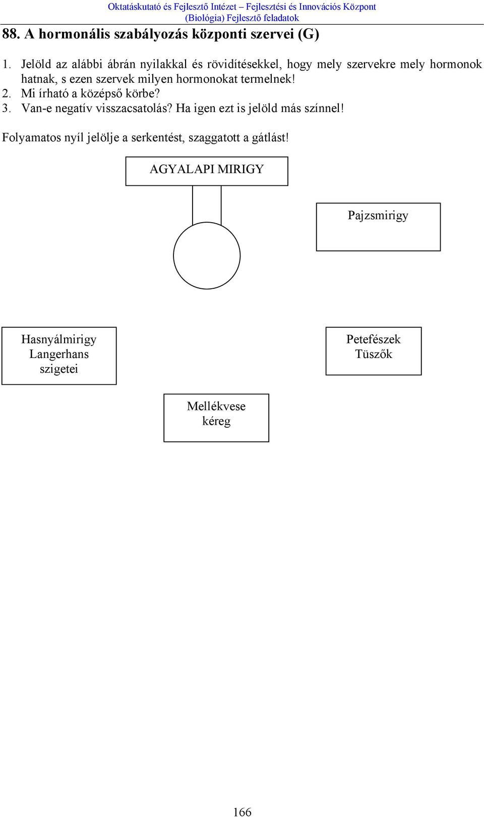 milyen hormonokat termelnek! 2. Mi írható a középső körbe? 3. Van-e negatív visszacsatolás?