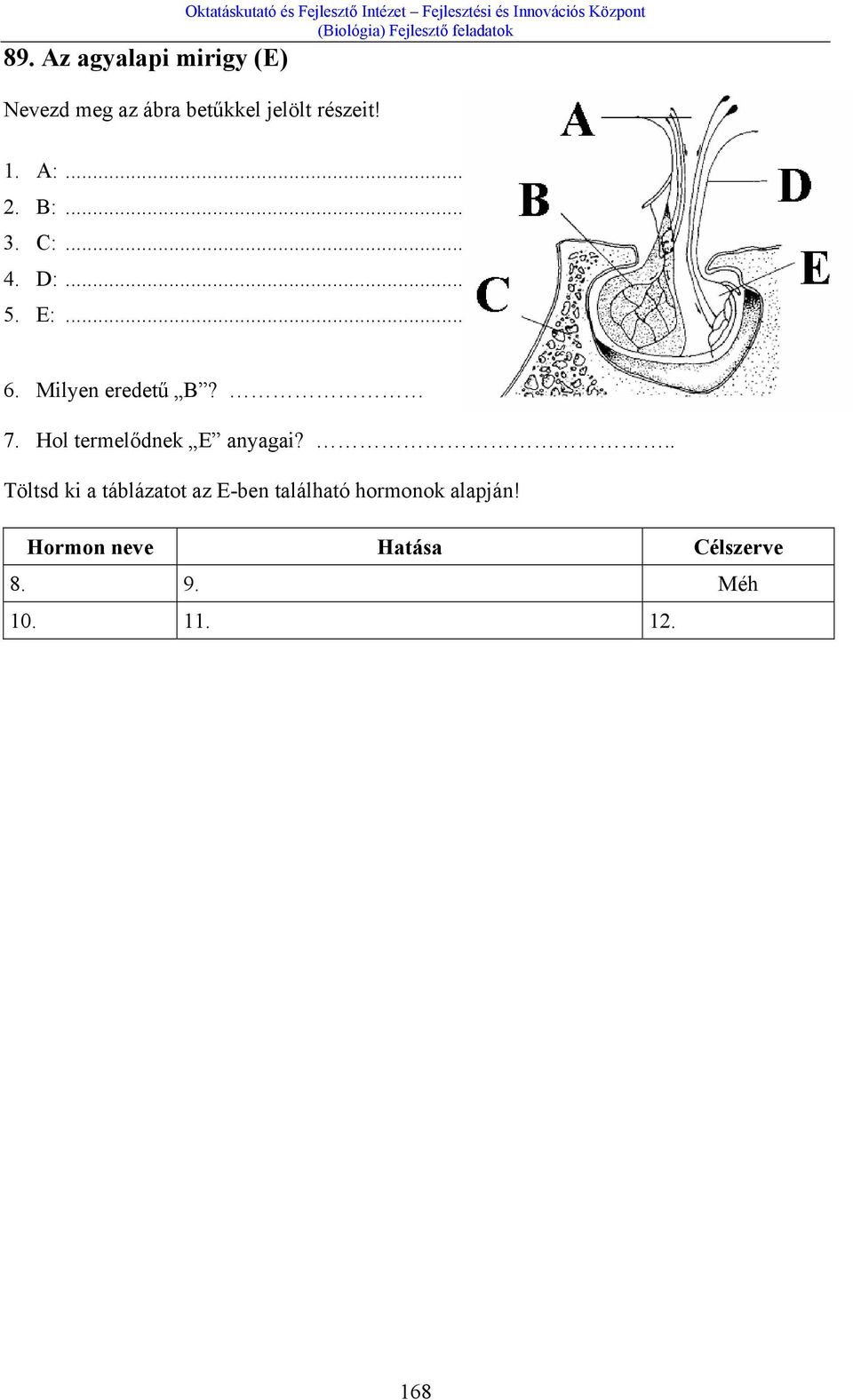 E:... 6. Milyen eredetű B? 7. Hol termelődnek E anyagai?