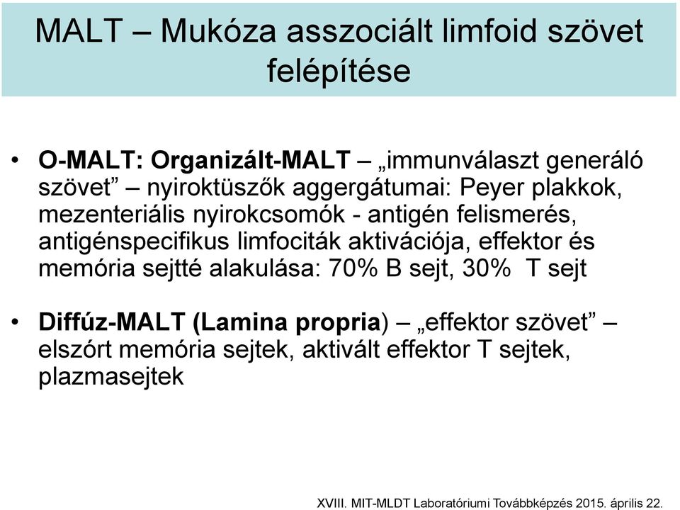 aktivációja, effektor és memória sejtté alakulása: 70% B sejt, 30% T sejt Diffúz-MALT (Lamina propria) effektor