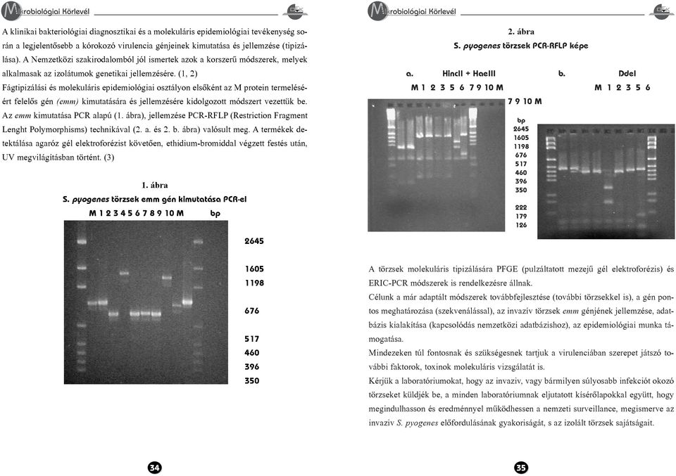 (1, 2) Fágtipizálási és molekuláris epidemiológiai osztályon elsõként az M protein termeléséért felelõs gén (emm) kimutatására és jellemzésére kidolgozott módszert vezettük be.