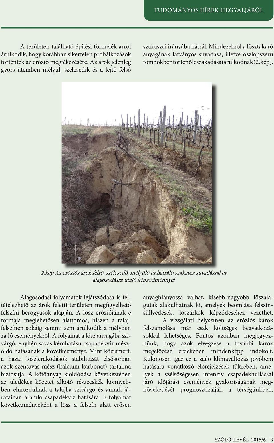 Mindezekről a lösztakaró anyagának látványos suvadása, illetve oszlopszerű tömbökben történő leszakadásai árulkodnak (2. kép). 2.