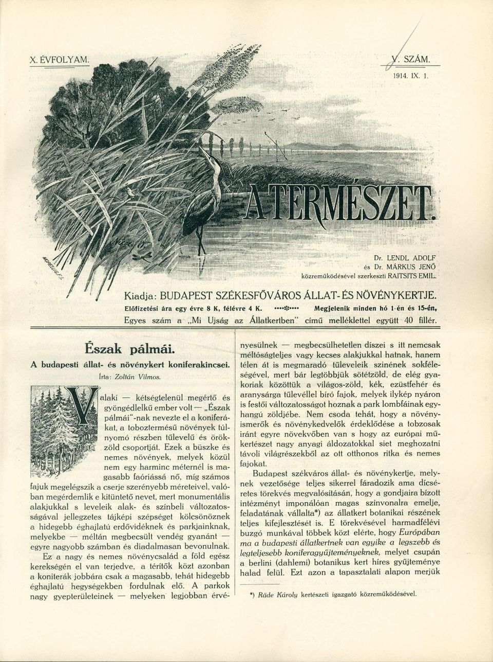 [alaki kétségtelenül megértő és gyöngédlelkű ember volt Észak pálmái"-nak nevezte el a koniferákat, a toboztermésű növények túlnyomó részben tűlevelű és örökzöld csoportját.