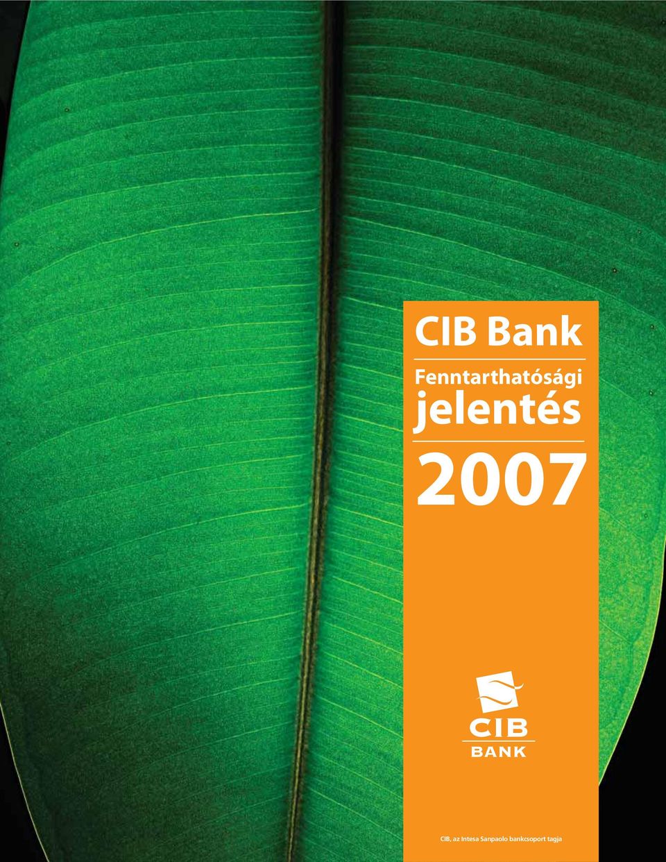 jelentés 2007 CIB,