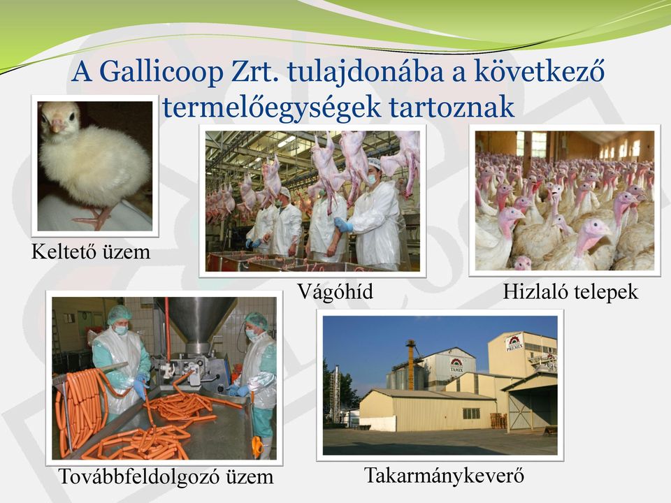 termelőegységek tartoznak Keltető