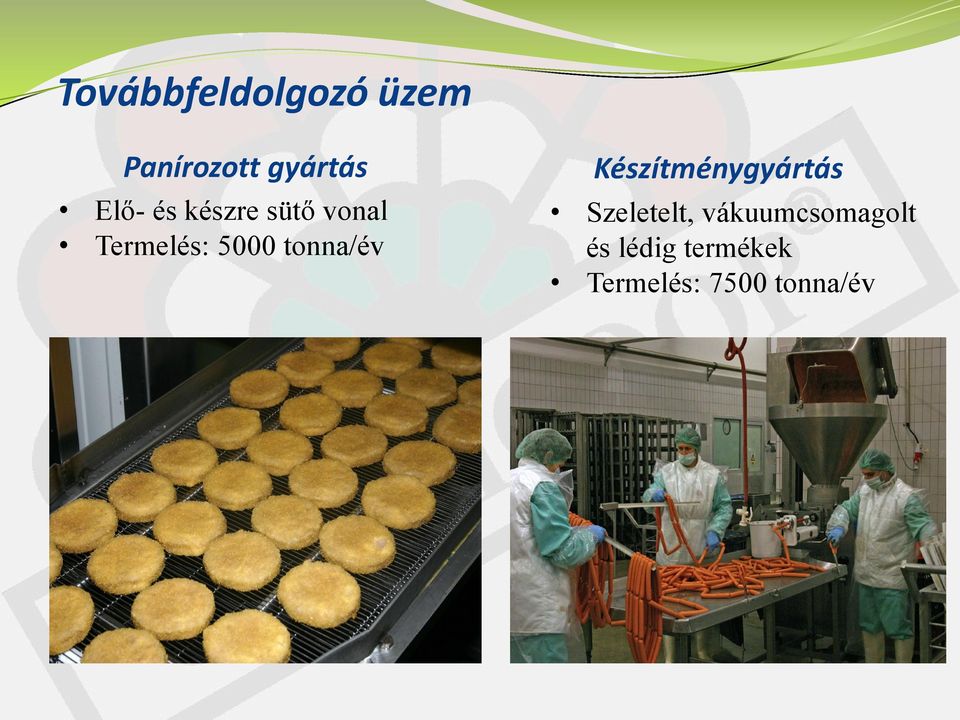 tonna/év Készítménygyártás Szeletelt,