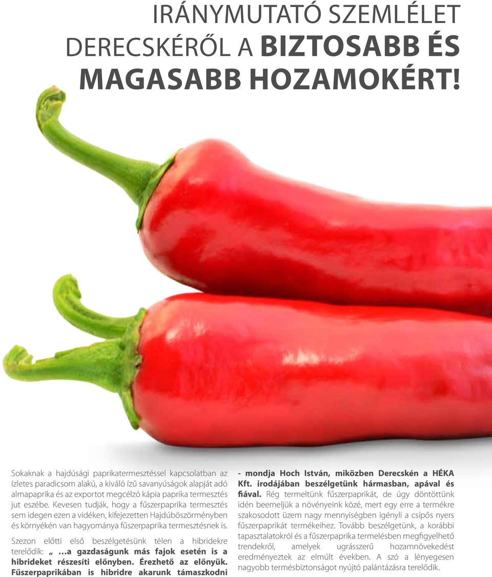 Kevesen tudják, hogy a fűszerpaprika termesztés sem idegen ezen a vidéken, kifejezetten Hajdúböszörményben és környékén van hagyománya fűszerpaprika termesztésnek is.