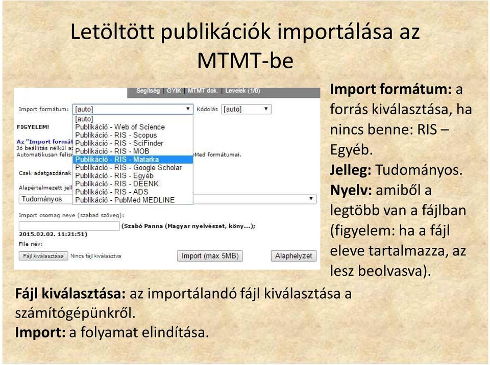 Nyelv: amiből a legtöbb van a fájlban (figyelem: ha a fájl eleve tartalmazza, az