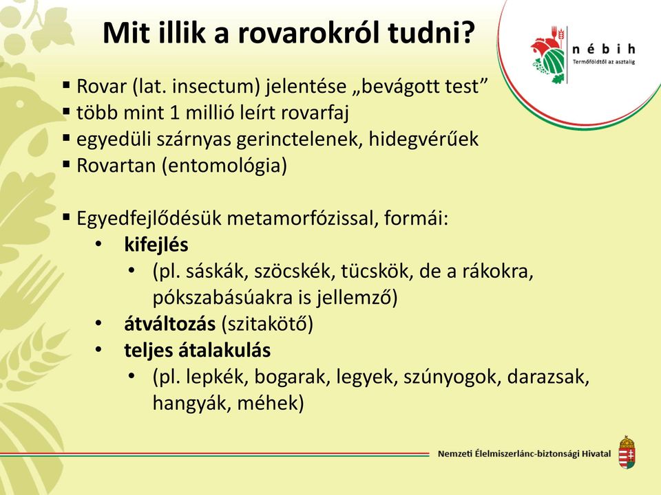 hidegvérűek Rovartan (entomológia) Egyedfejlődésük metamorfózissal, formái: kifejlés (pl.