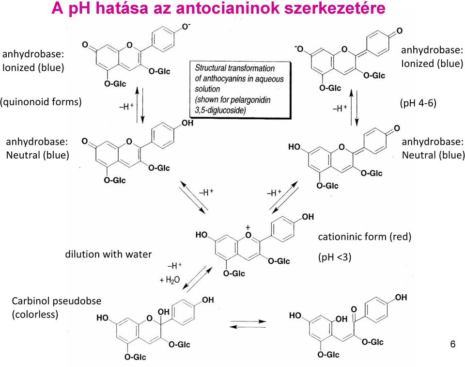 anhydrobase: Neutral (blue) anhydrobase: Neutral (blue)