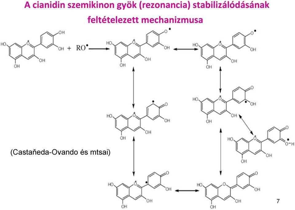 stabilizálódásának