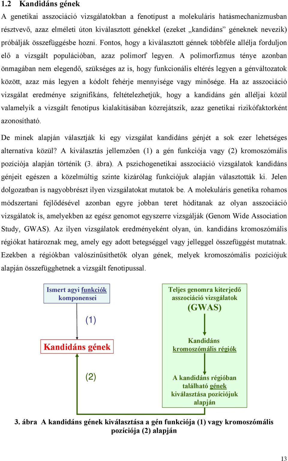 A polimorfizmus ténye azonban önmagában nem elegendő, szükséges az is, hogy funkcionális eltérés legyen a génváltozatok között, azaz más legyen a kódolt fehérje mennyisége vagy minősége.