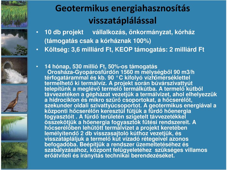 A projekt során búvárszivattyút telepítünk a meglévő termelő termálkútba.