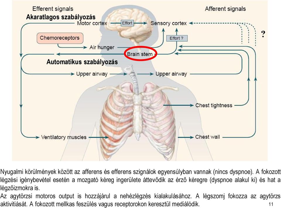 dyspnoe).