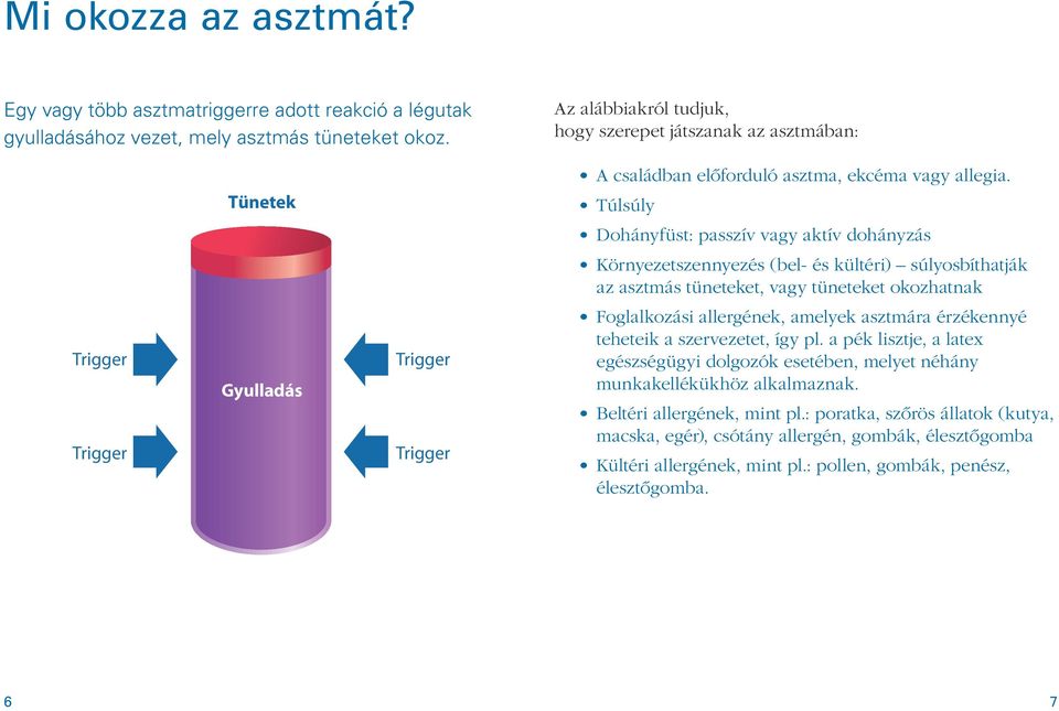 Túlsúly Dohányfüst: passzív vagy aktív dohányzás Környezetszennyezés (bel- és kültéri) súlyosbíthatják az asztmás tüneteket, vagy tüneteket okozhatnak Foglalkozási allergének, amelyek