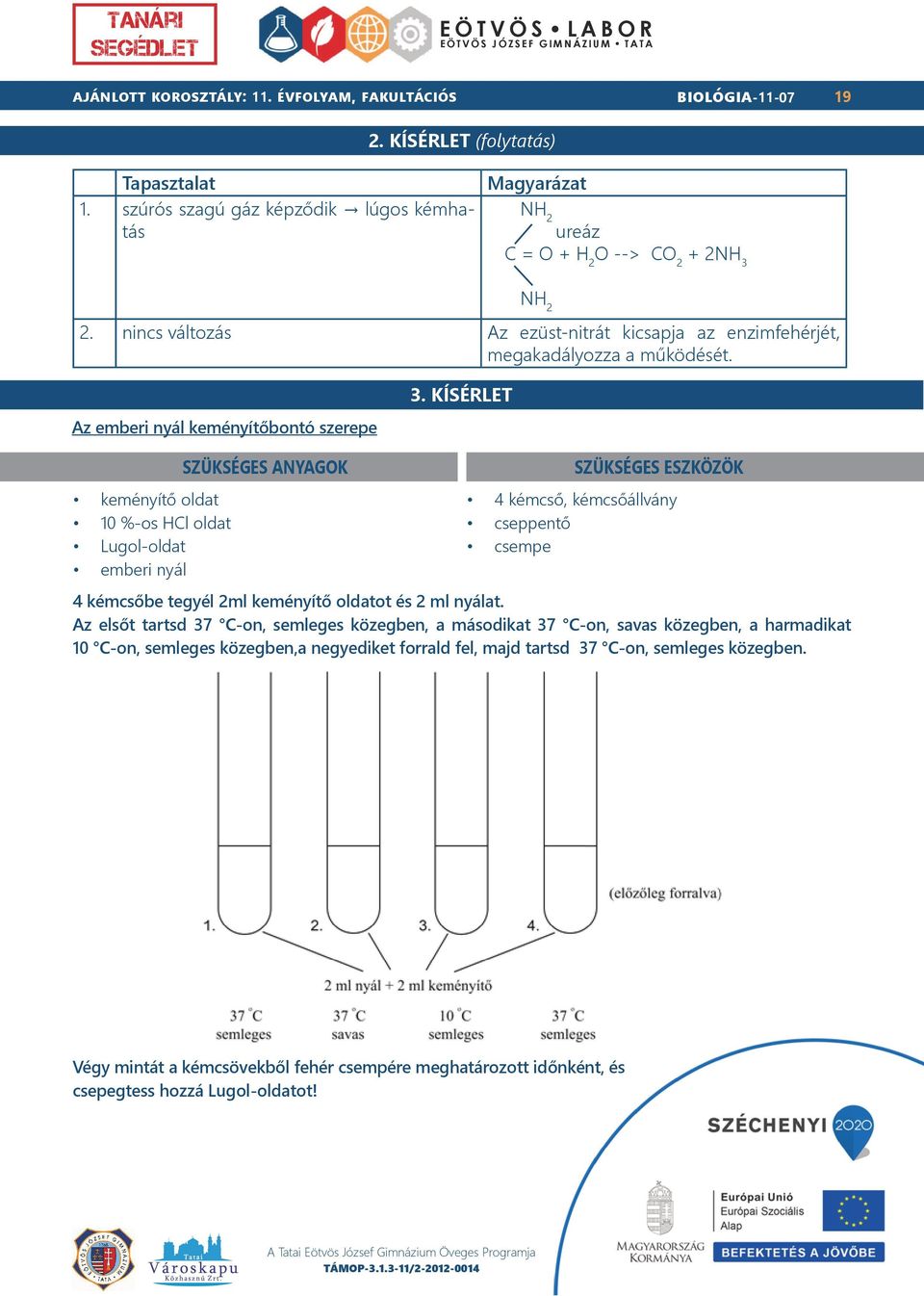 KÍSÉRLET NH 2 4 kémcső, kémcsőállvány cseppentő csempe 4 kémcsőbe tegyél 2ml keményítő oldatot és 2 ml nyálat.