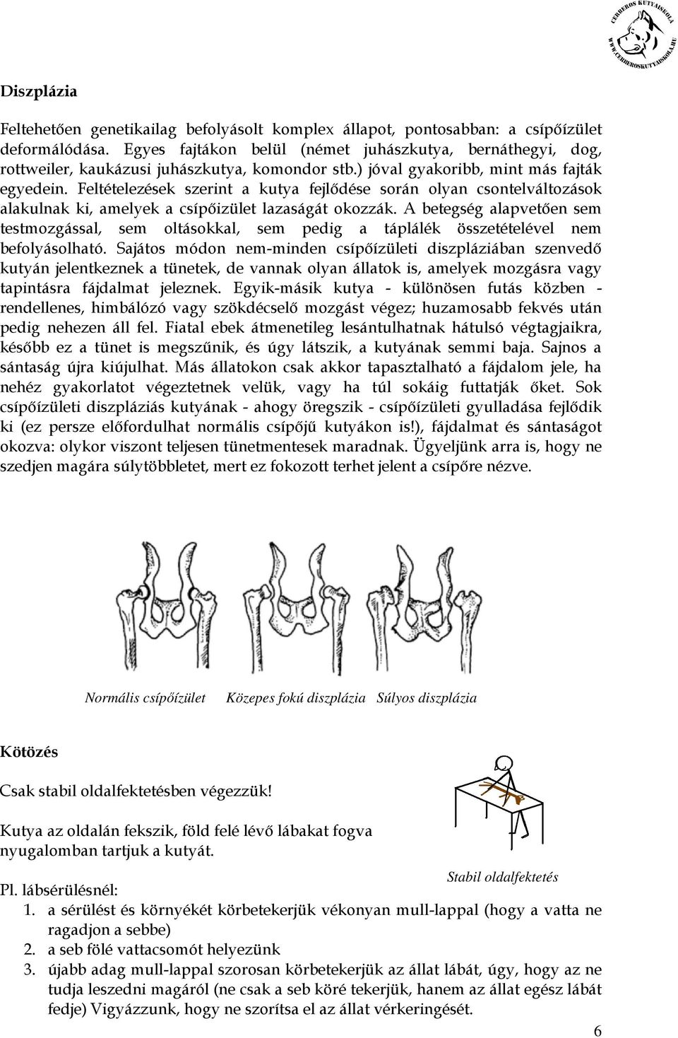 Feltételezések szerint a kutya fejlıdése során olyan csontelváltozások alakulnak ki, amelyek a csípıizület lazaságát okozzák.