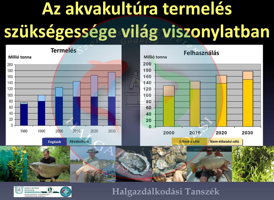 Termelés Millió tonna Felhasználás