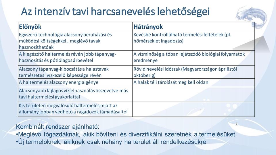 összevetve más tavi haltermelési gyakorlattal Kis területen megvalósuló haltermelés miatt az állomány jobban védhető a ragadozók támadásaitól Hátrányok Kevésbé kontrollálható termelési feltételek (pl.