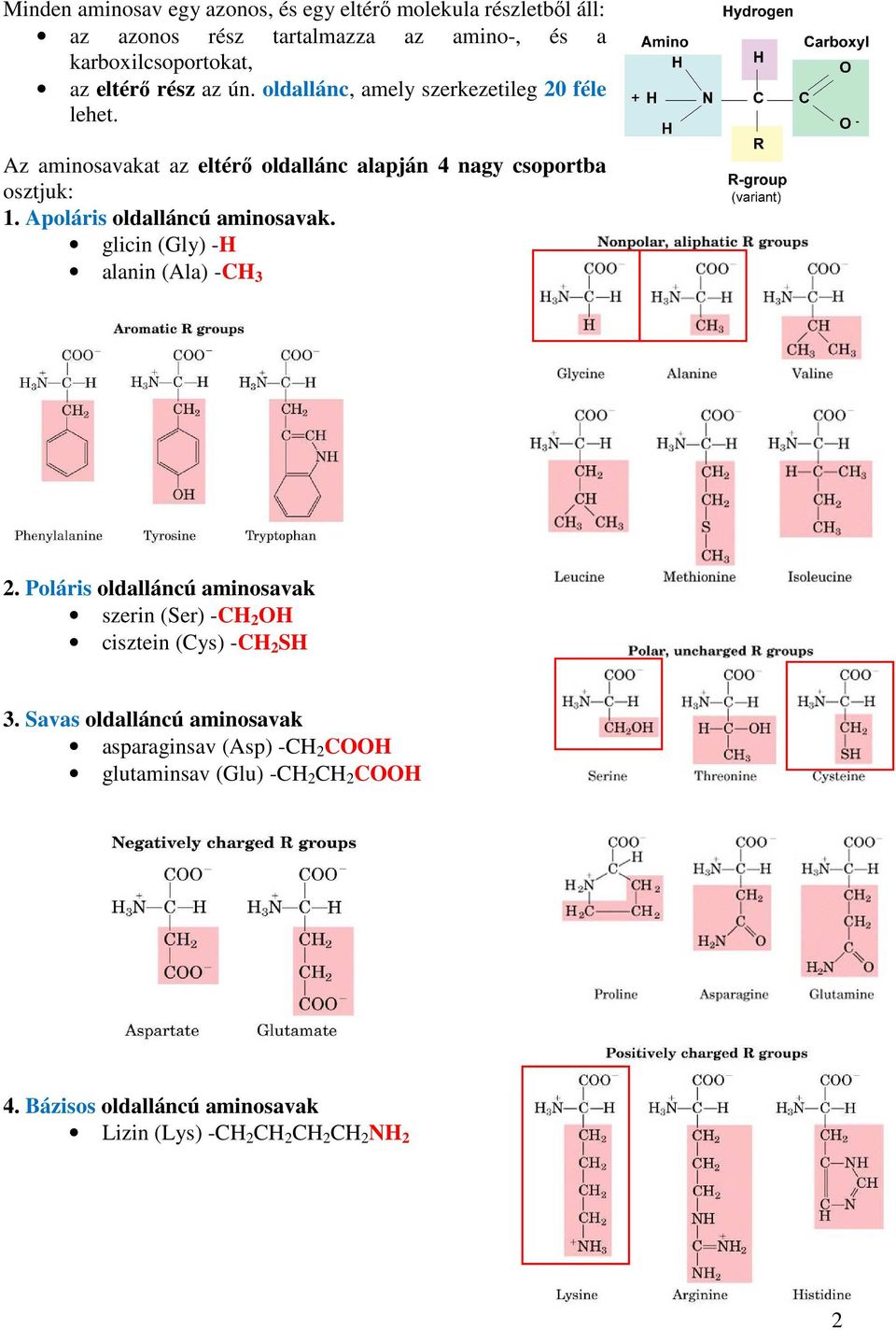 Apoláris oldalláncú aminosavak. glicin (Gly) -H alanin (Ala) -CH 3 2.