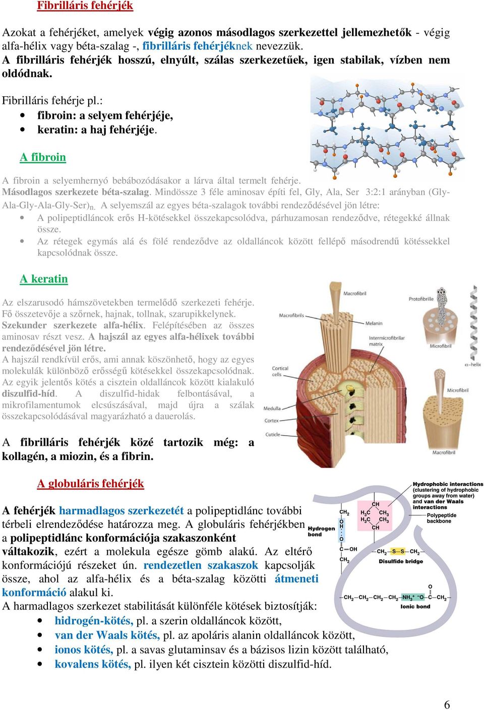 A fibroin A fibroin a selyemhernyó bebábozódásakor a lárva által termelt fehérje. Másodlagos szerkezete béta-szalag.