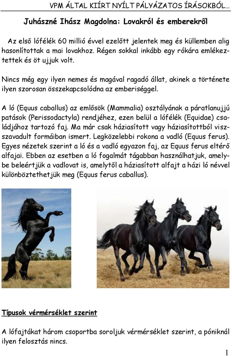 A ló (Equus caballus) az emlősök (Mammalia) osztályának a páratlanujjú patások (Perissodactyla) rendjéhez, ezen belül a lófélék (Equidae) családjához tartozó faj.