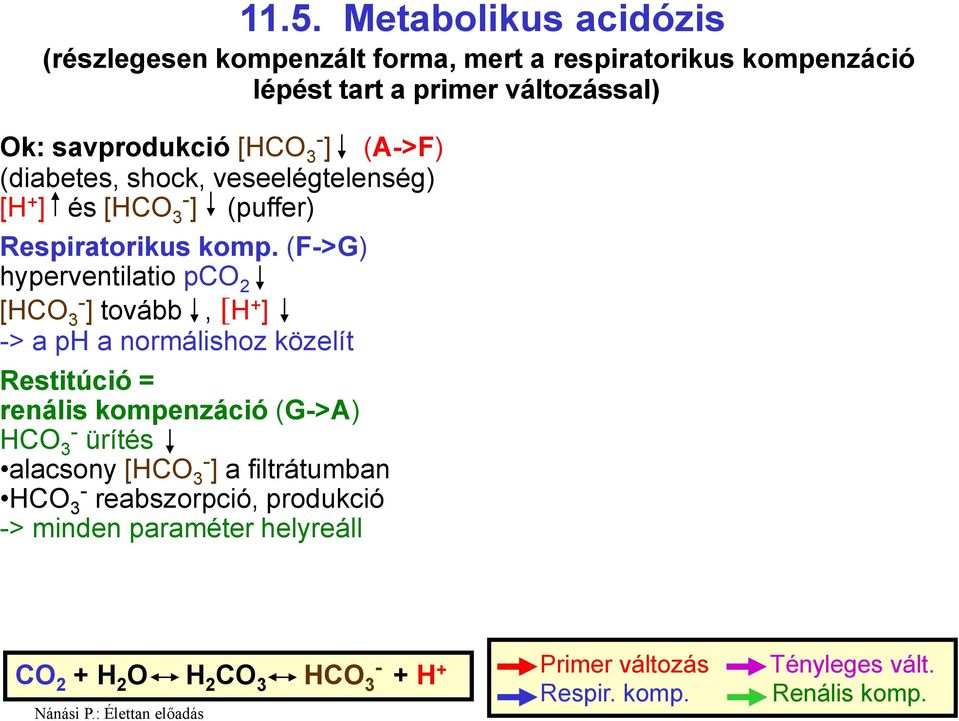 (F>G) hyperventilatio pco 2 [HCO 3 ] tovább, [H + ] > a ph a normálishoz közelít Restitúció = renális kompenzáció (G>A) HCO 3 ürítés alacsony [HCO