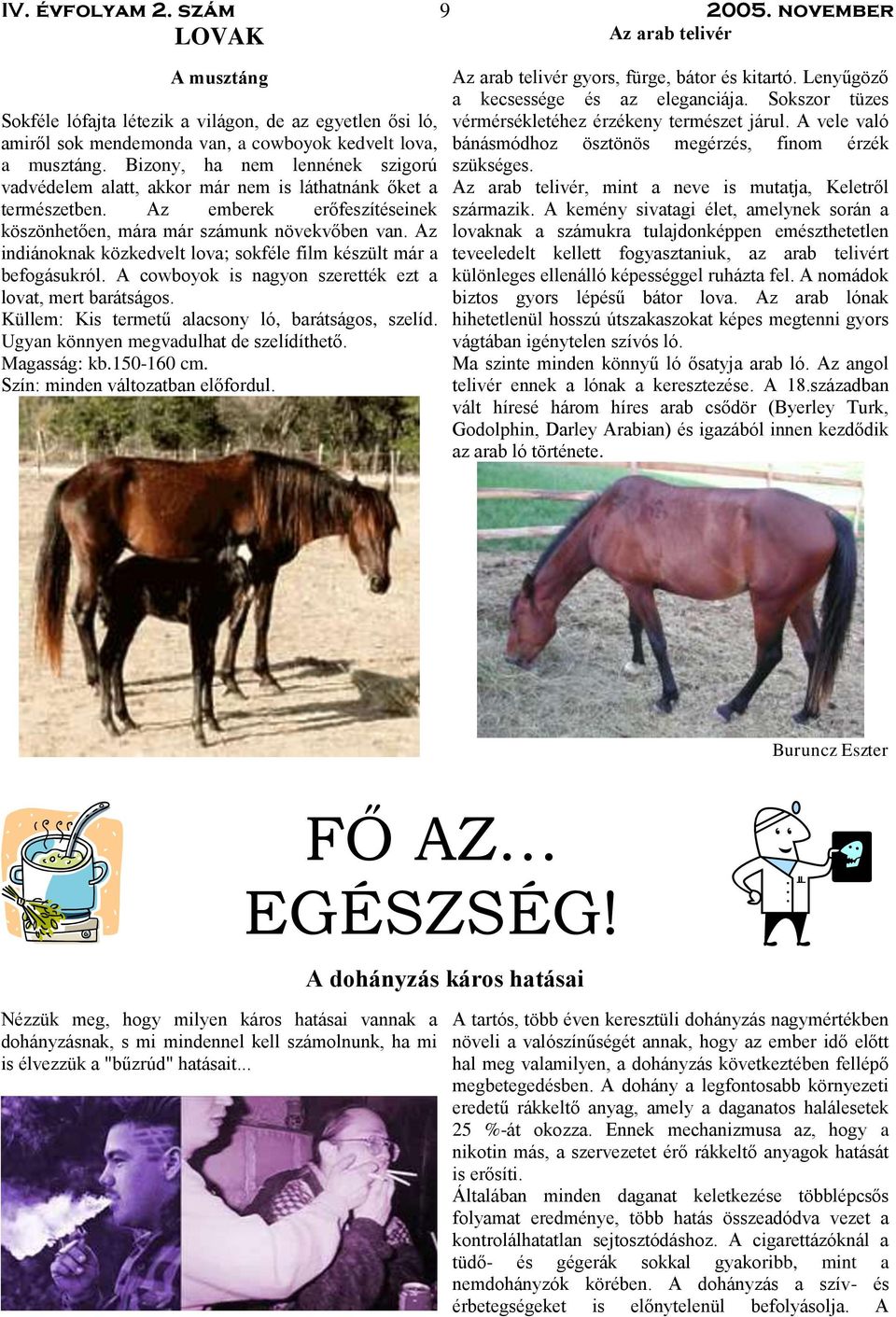 Az indiánoknak közkedvelt lova; sokféle film készült már a befogásukról. A cowboyok is nagyon szerették ezt a lovat, mert barátságos. Küllem: Kis termetű alacsony ló, barátságos, szelíd.