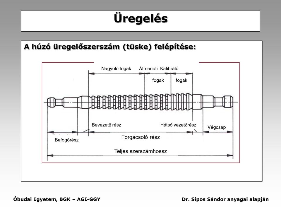 fogak fogak Bevezető rész Hátsó vezetőrész