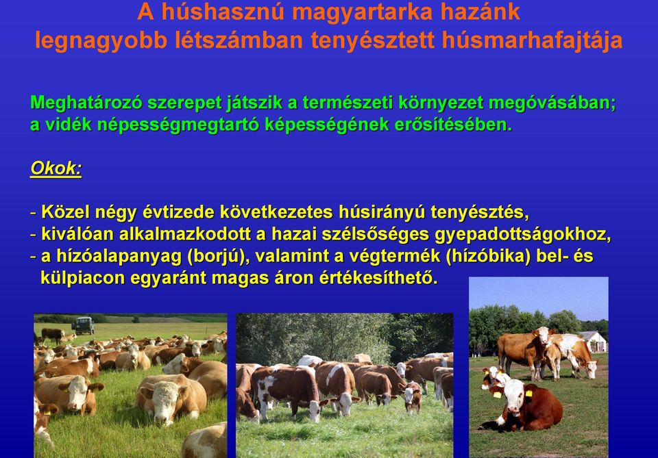 Okok: - Közel négy évtizede következetes húsirányú tenyésztés, - kiválóan alkalmazkodott a hazai szélsőséges