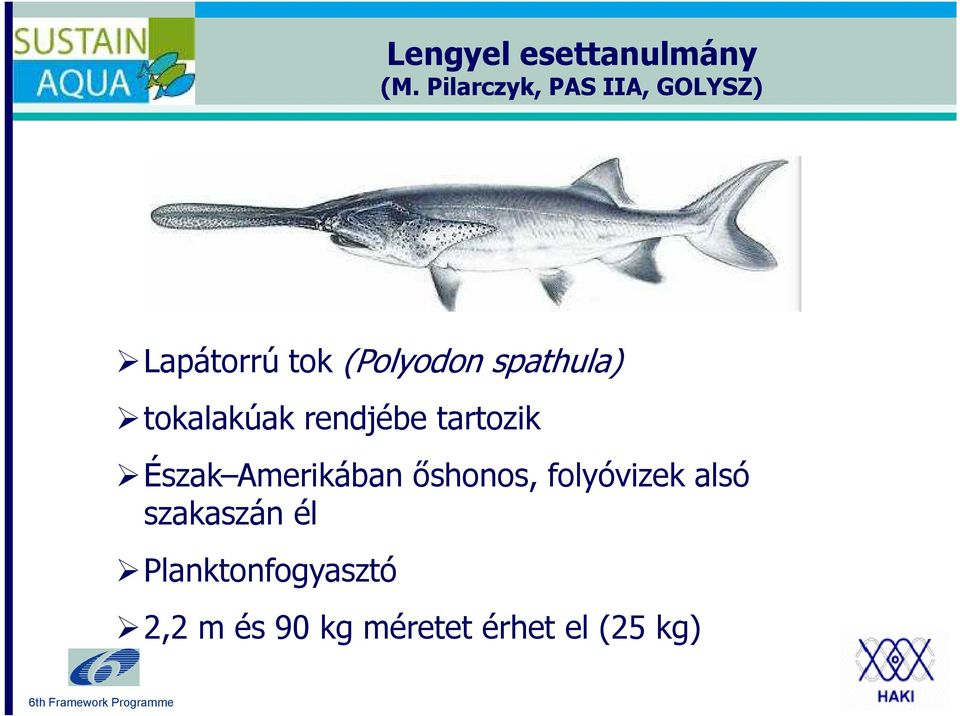 spathula) tokalakúak rendjébe tartozik Észak