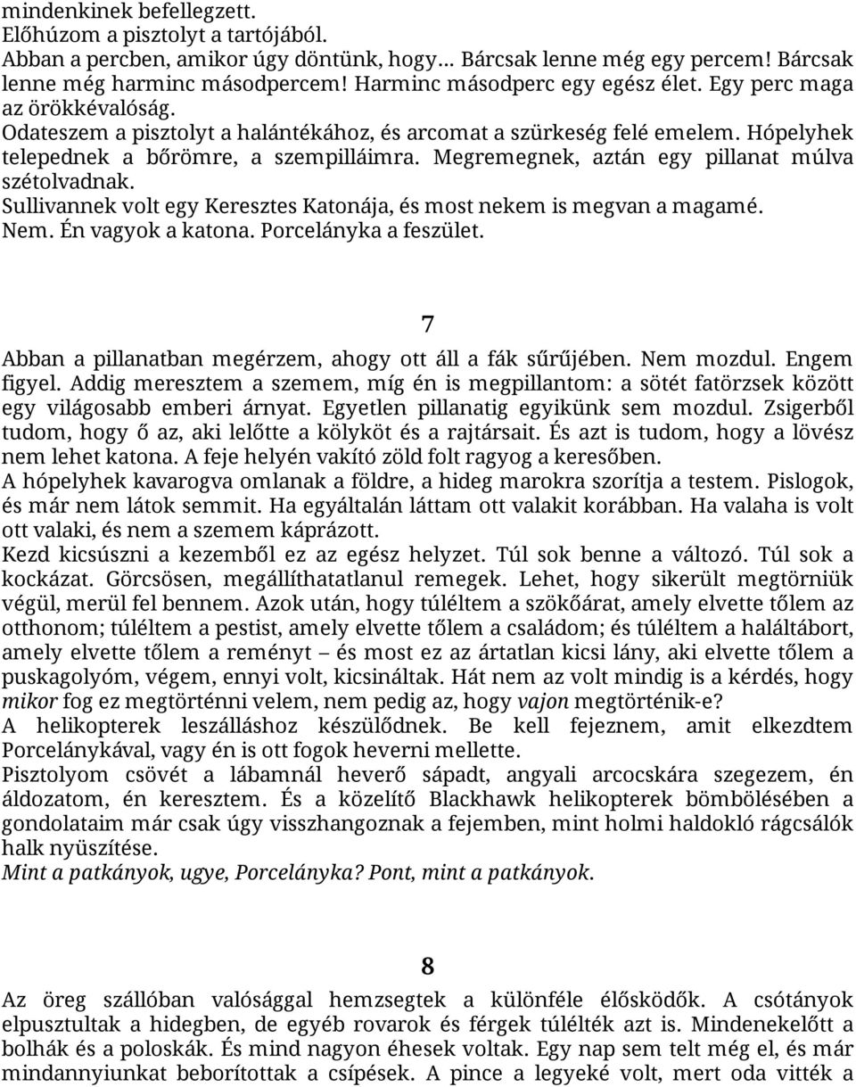 Megremegnek, aztán egy pillanat múlva szétolvadnak. Sullivannek volt egy Keresztes Katonája, és most nekem is megvan a magamé. Nem. Én vagyok a katona. Porcelányka a feszület.