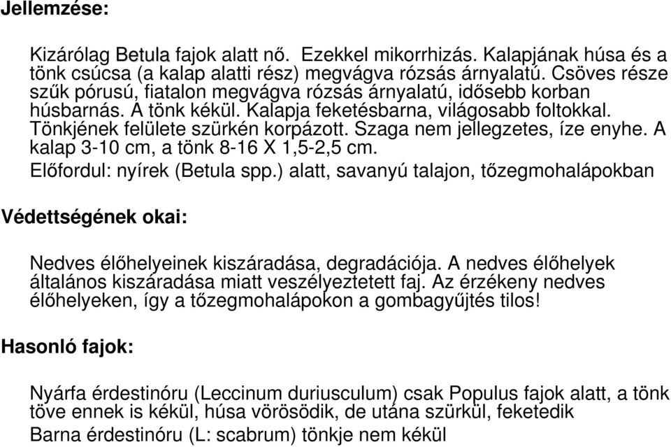 Szaga nem jellegzetes, íze enyhe. A kalap 3-10 cm, a tönk 8-16 X 1,5-2,5 cm. Előfordul: nyírek (Betula spp.