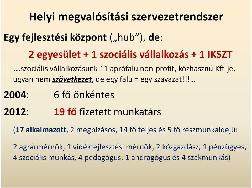 !! 2004: 6 fő önkéntes 2012: 19 fő fizetett munkatárs (17 alkalmazott, 2 megbízásos, 14 fő teljes és 5 fő részmunkaidejű: 2